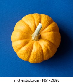 Aerial View Of Fresh Pumpkin