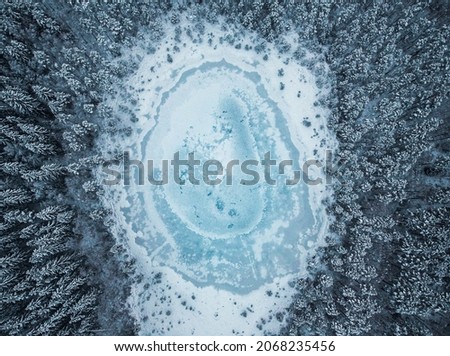 Aerial view of frozen pond in the middle of winter forest.