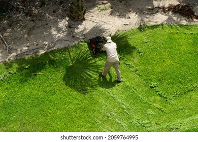 Aerial View Of A Gardener With A Lawn Mower, In A Public Garden In Mexico