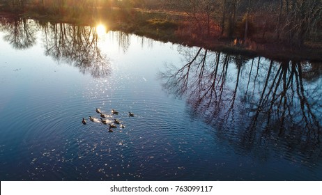 An Aerial View Of Geese On Lake Redington In Laurel, Maryland.