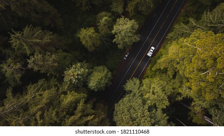 Aerial View Giant Redwood Trees & Vehicle Car On Newton B. Drury Scenic Parkway Road In Redwoods State And National Park, An American Park Famous For Its Spectacular Trees Hikes Drives & Biodiversity.