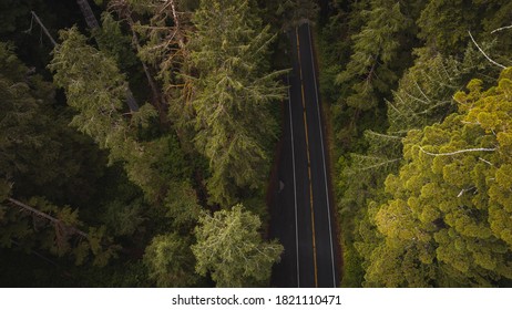 Aerial View Of Giant Redwood Trees On Newton B. Drury Scenic Parkway Road In Redwoods State And National Park, An American Park Famous For Its Spectacular Trees, Hikes, Drives, & Biological Diversity.