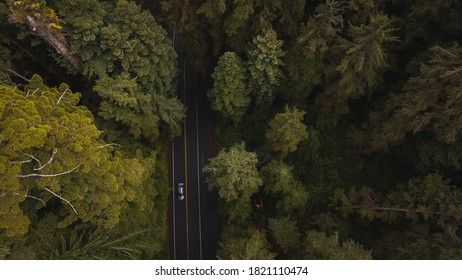 Aerial View Giant Redwood Trees & Vehicle Car On Newton B. Drury Scenic Parkway Road In Redwoods State And National Park, An American Park Famous For Its Spectacular Trees Hikes Drives & Biodiversity.