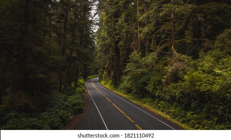 Aerial View Of Giant Redwood Trees On Newton B. Drury Scenic Parkway Road In Redwoods State And National Park, An American Park Famous For Its Spectacular Trees, Hikes, Drives, & Biological Diversity.