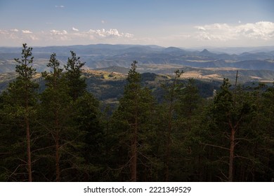 Aerial View Of Golden Pine Forest At Zlatibor Mountain In Serbia, Shot From Gondola Or Cable Car. Scenic View Of Zlatibor Mountain.