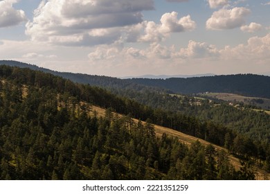 Aerial View Of Golden Pine Forest At Zlatibor Mountain In Serbia, Shot From Gondola Or Cable Car. Scenic View Of Zlatibor Mountain.