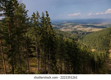 Aerial View Of Golden Pine Forest At Zlatibor Mountain In Serbia, Shot From Gondola Or Cable Car. Scenic View Of Zlatibor Mountain.