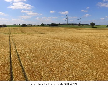 Aerial View Of Golden Wheat Field 