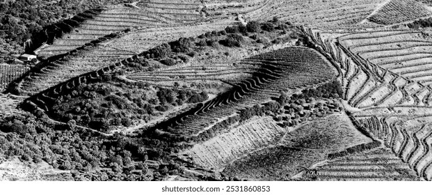 Aerial view of grapevine agriculture terraces near Villa Nova de Foz Coa, Portugal - Powered by Shutterstock