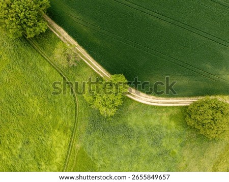 Aerial view grass fields divided with a horizontal path with curve framed by trees, straight and curve lines, top down view, copy space