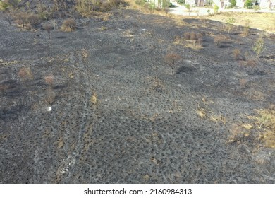 Aerial View Of Grassland Area After The Wild Fire