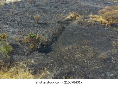 Aerial View Of Grassland Area After The Wild Fire