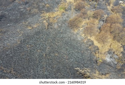 Aerial View Of Grassland Area After The Wild Fire