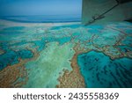 Aerial view of Great Barrier Reef coral reef structure in Whitsundays, Aerilie beach, Queensland, Australia