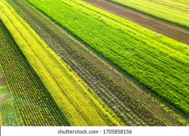 Agriculture Biologique Images Stock Photos Vectors Shutterstock