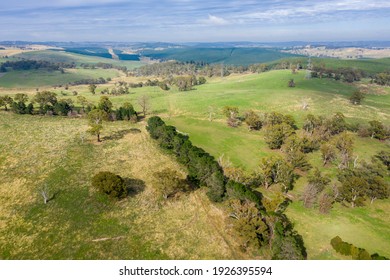 Aerial View Of Of Green Farmland In The Central Tablelands In Regional New South Wales In Australia