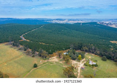 Aerial View Of Of Green Farmland In The Central Tablelands In Regional New South Wales In Australia