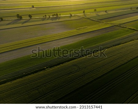 Similar – Sommer August Feld zur Erntezeit bei Sonnenuntergang Sonnenlicht