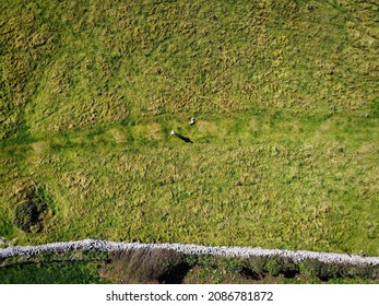 Aerial view of green fields, Gower Peninsula, Wales