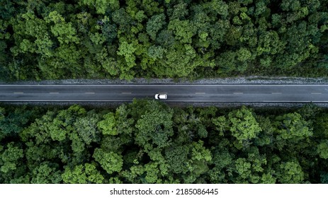 Aerial view green forest and asphalt road, Top view forest road going through forest with car adventure, Ecosystem ecology healthy environment road trip travel. - Shutterstock ID 2185086445