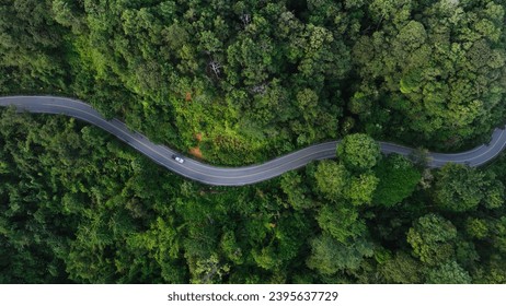 Aerial view green forest and asphalt road, Top view forest road going through forest with car adventure, Ecosystem ecology healthy environment road trip travel. - Powered by Shutterstock