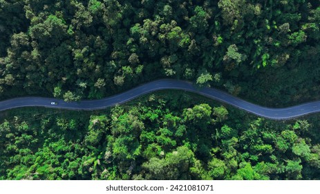 Aerial view green forest and asphalt road, Top view forest road going through forest with car adventure, Ecosystem ecology healthy environment road trip travel. - Powered by Shutterstock