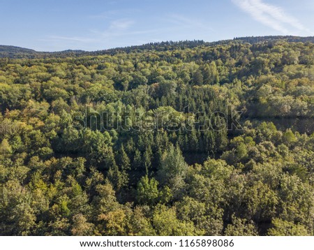 Similar – Image, Stock Photo leaf canopy Environment