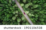 Aerial view of green forest and red car on the road. Bird