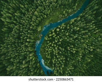 Aerial view of green grass forest with tall pine trees and blue bendy river flowing through the forest in Finland - Shutterstock ID 2250863471