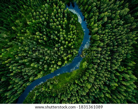 Aerial view of green grass forest with tall pine trees and blue bendy river flowing through the forest in Finland