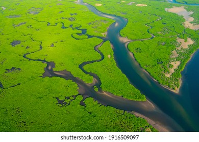 Aerial View of Green Mangrove Forest. Nature Landscape. Amazon River. Amazon Rainforest. South America. - Shutterstock ID 1916509097