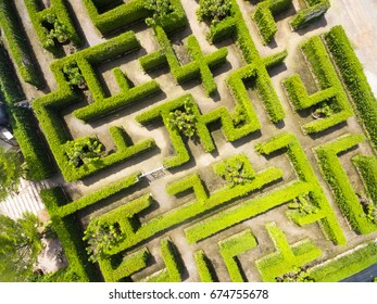 Aerial View Of Green Maze Garden