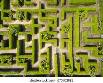 Aerial View Of Green Maze Garden