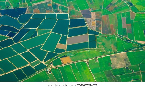 Aerial view Green paddy rice terrace land. Aerial drone shots summer tropical in summertime on sunny day amazing landscape. Agriculture rice field above view greenery background natural paddy fields - Powered by Shutterstock