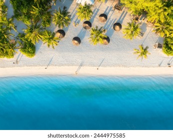 Aerial view of green palm trees, umbrellas on the sandy beach of Indian Ocean at sunset. Summer holiday in Kendwa, Zanzibar island. Tropical landscape with palms, white sand, clear blue sea. Top view - Powered by Shutterstock