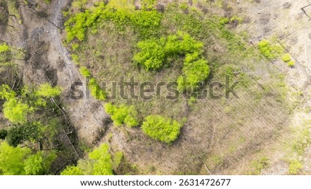Aerial view of a green patch surrounded by dry land, indicating regeneration in a deforested area. The scene reflects nature's resilience and environmental recovery.
