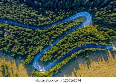 Aerial View Of Green Pine Forest And A Country Serpentine Road Captured From A Drone Above