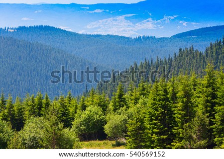 Aerial view of green pine trees in high mountains landscape in Rila, Bulgaria