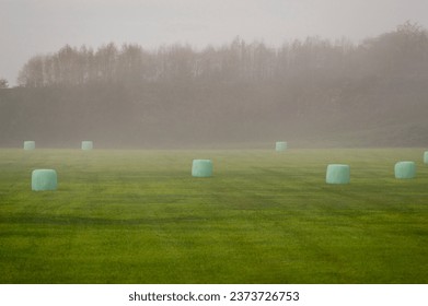 Aerial view of green plastic wrapped hay bales in a field on a foggy morning. Seen in the agricultural hub of western Washington state, the Skagit Valley, the bales dot the landscape in a fun pattern. - Powered by Shutterstock