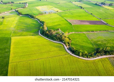 Aerial View Of Green Rice Paddy Field, Farming Cultivation In Agricultural Land At Countryside. Export Products Of Southeast Asia