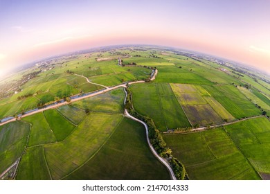 Aerial View Of Green Rice Paddy Field, Farming Cultivation In Agricultural Land At Countryside. Export Products Of Southeast Asia