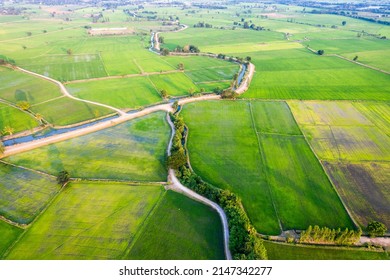 Aerial View Of Green Rice Paddy Field, Farming Cultivation In Agricultural Land At Countryside. Export Products Of Southeast Asia