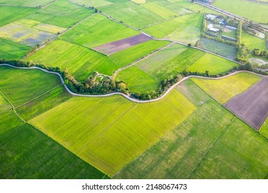 Aerial View Of Green Rice Paddy Field, Farming Cultivation In Agricultural Land At Countryside. Export Products Of Southeast Asia