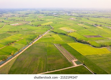 Aerial View Of Green Rice Paddy Field, Farming Cultivation In Agricultural Land At Countryside. Export Products Of Southeast Asia