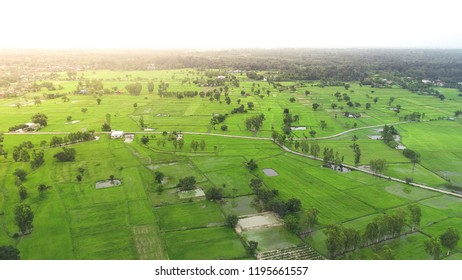 Aerial view of a green rural area under blue sky at Thailand. Aerial top view photo from flying drone of green rice fields in countryside Land with grown plants of paddy. - Shutterstock ID 1195661557