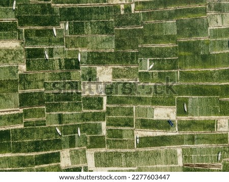 Aerial view of green seaweed farm with harvesting boats, Agriculture field on the sea in Nusa Lembongan close to Bali, Indonesia.