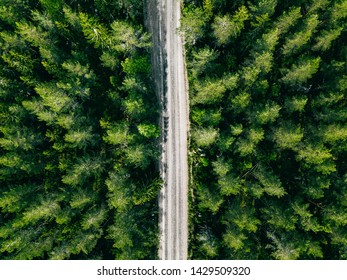 Aerial view of green summer forest road. Drone photo from above.
