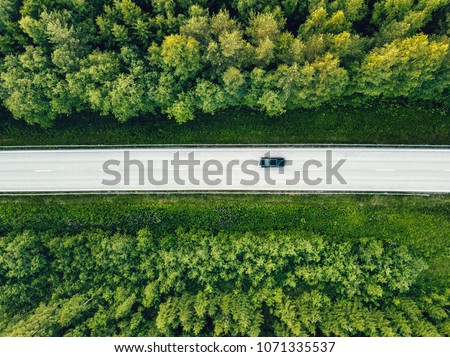 Aerial view of green summer forest with a road. Captured from above with a drone