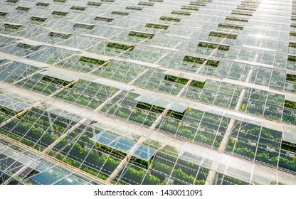 Aerial view of greenhouse area with vegetables - Powered by Shutterstock