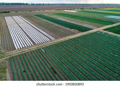 Aerial View Of Greenhouse And Vegetables Fields In Small Farming Area. Agricultural Field From Above.